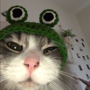 Meet your Posher, Mia